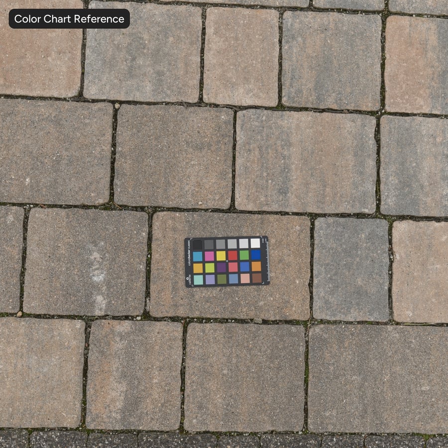 Mosaic Paver Floor Texture, Coral