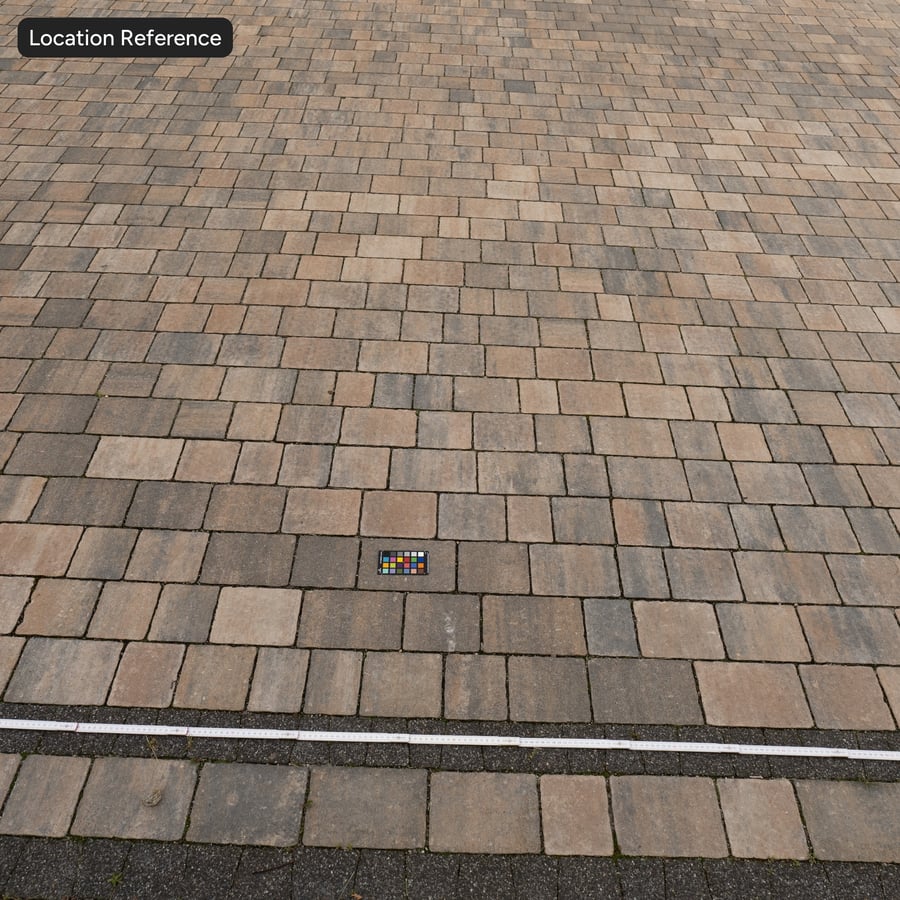 Mosaic Paver Floor Texture, Coral