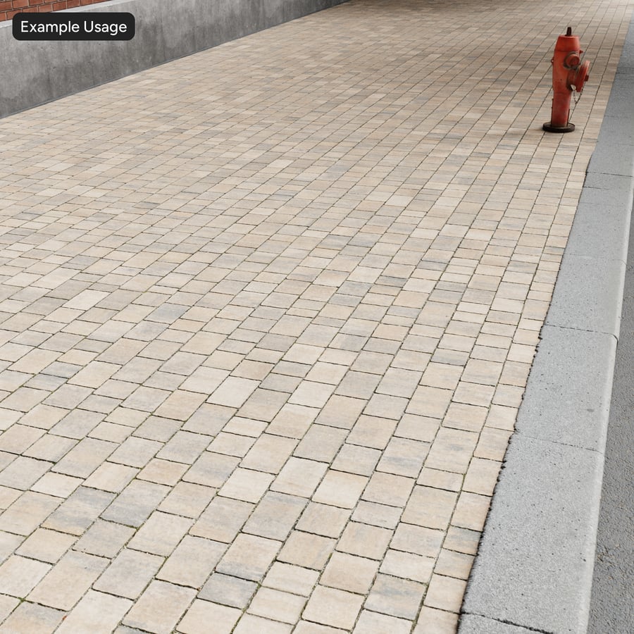 Mosaic Paver Floor Texture, Coral