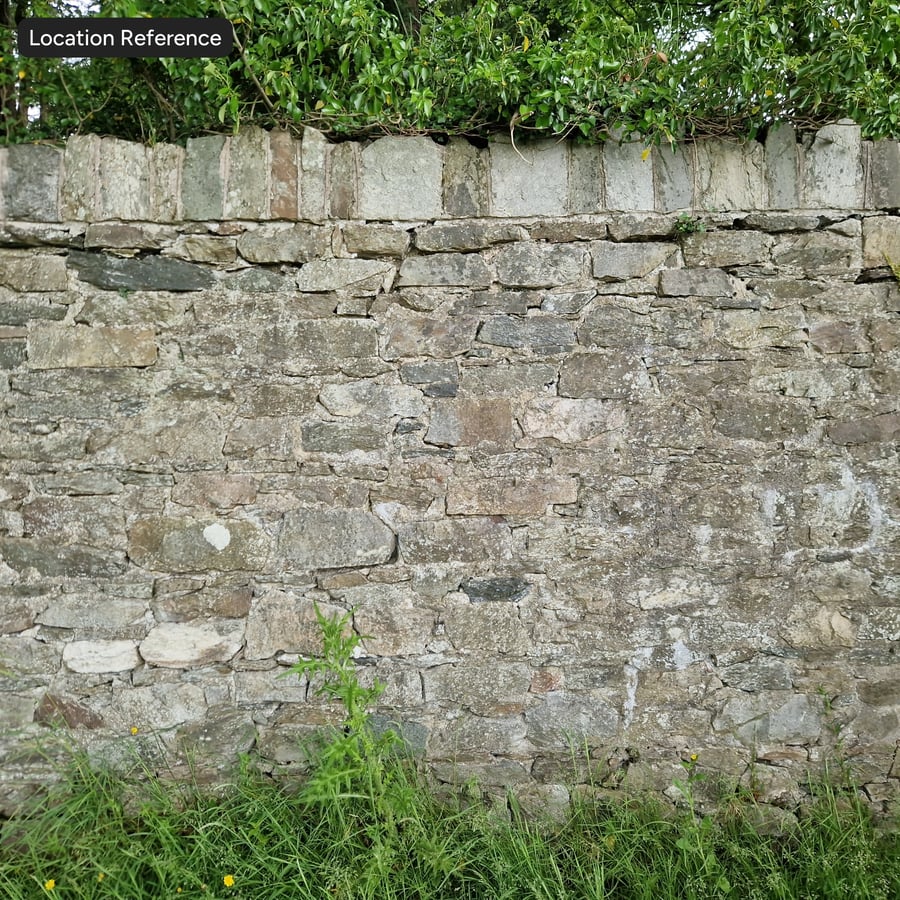 Schimmeliges Mauerwerk Steinwand Textur