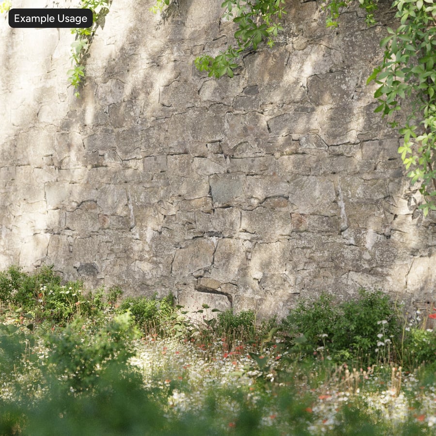 Schimmeliges Mauerwerk Steinwand Textur