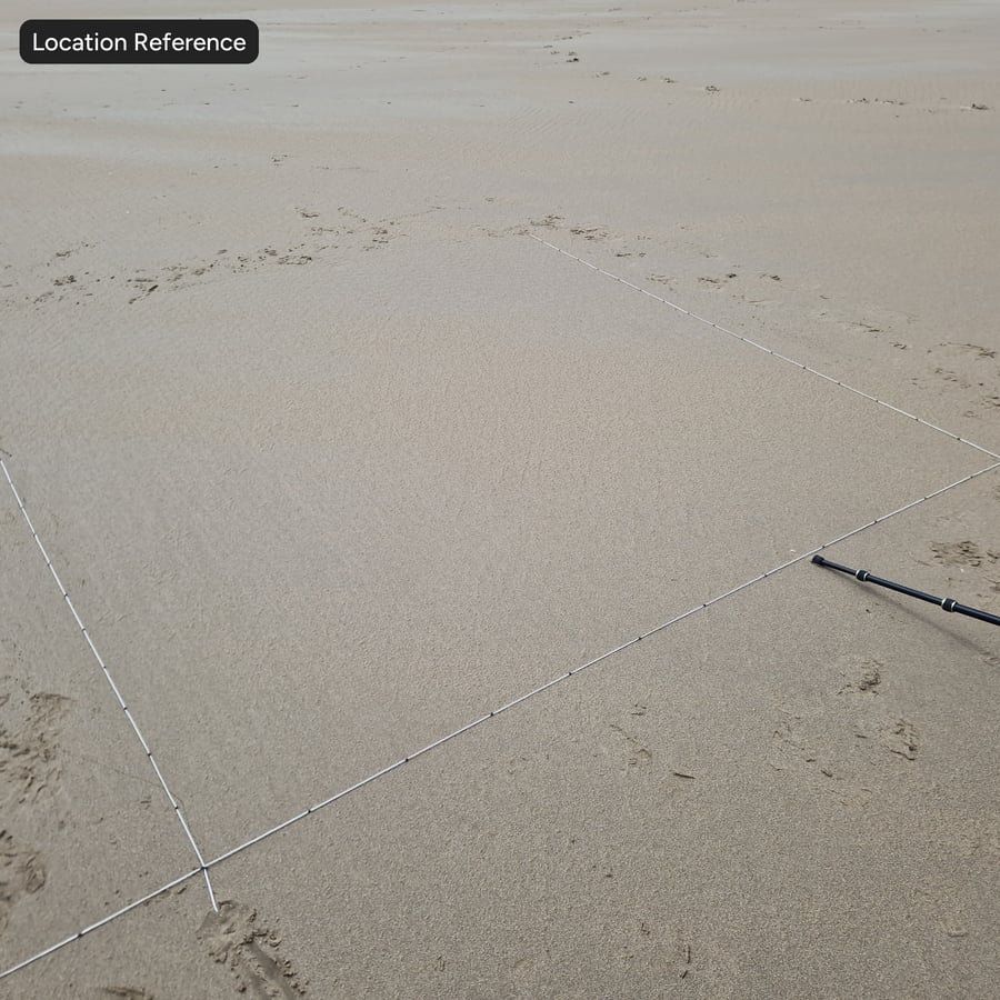 Wet Flat Dotted Sand Texture