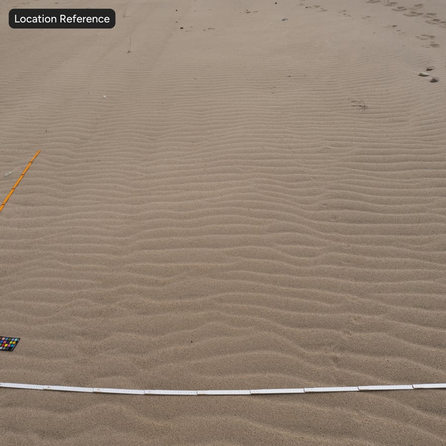 Krusiga fotspår på sand Textur