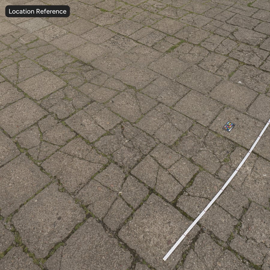 Mosachtige gebarsten steenbestrating, Grijs