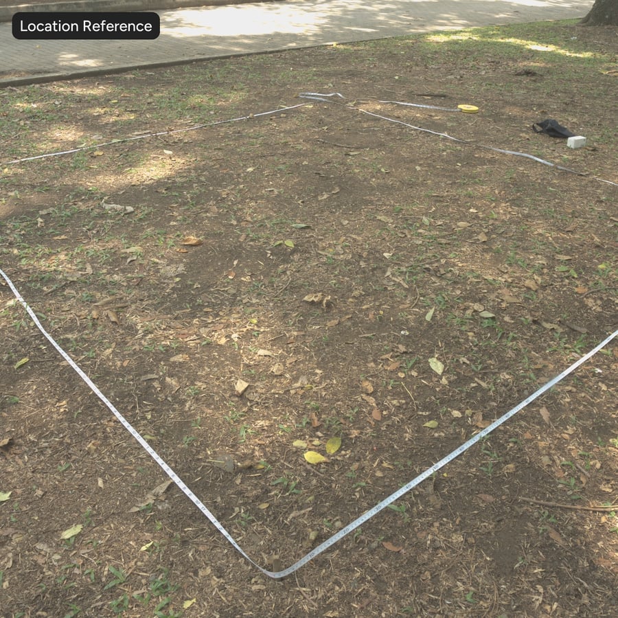 Tekstur Lumpur dan Rumput yang Tidak Rata