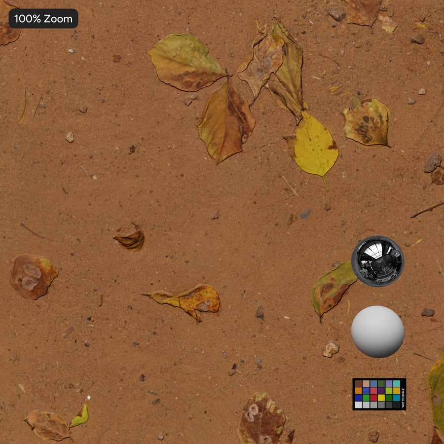 Leaves on Compacted Dirt Texture