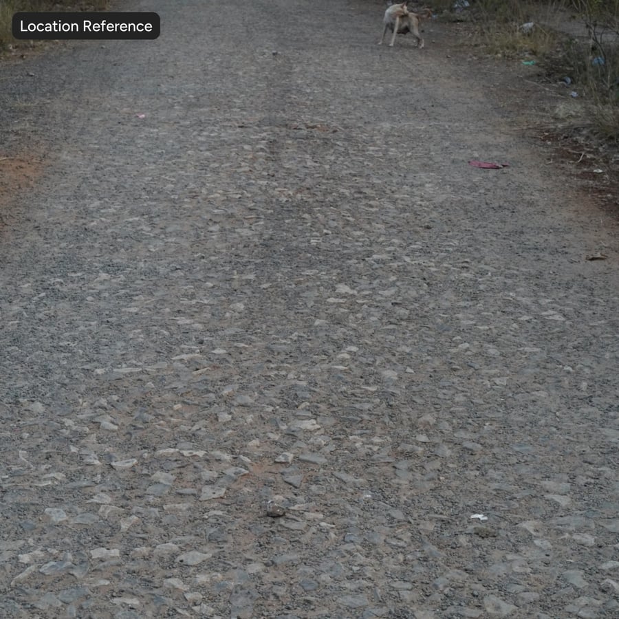 Rocky Dirt Road Textur, Braun