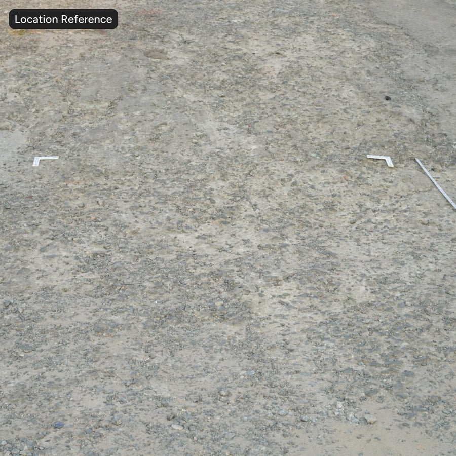 Mixed Rocks on Dirt Texture, Gray