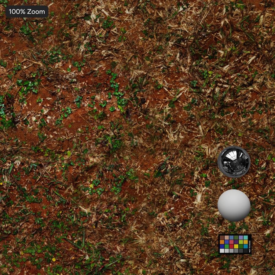 Spotty Grass on Dirt Υφή