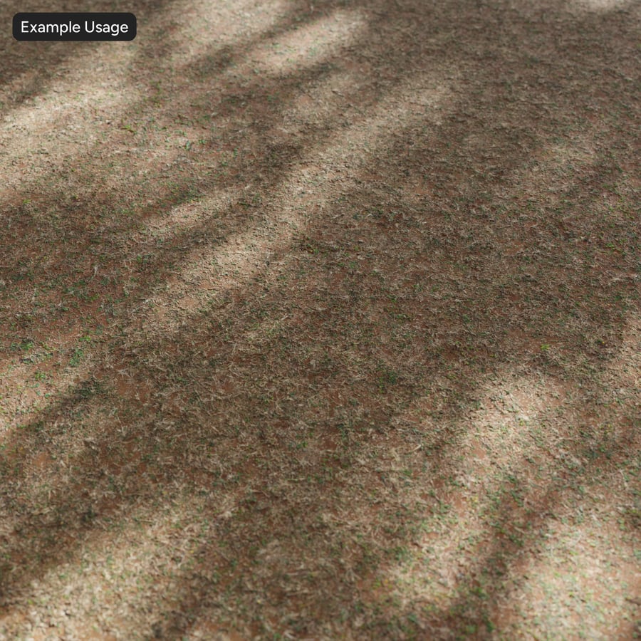 Spotty Grass on Dirt Υφή