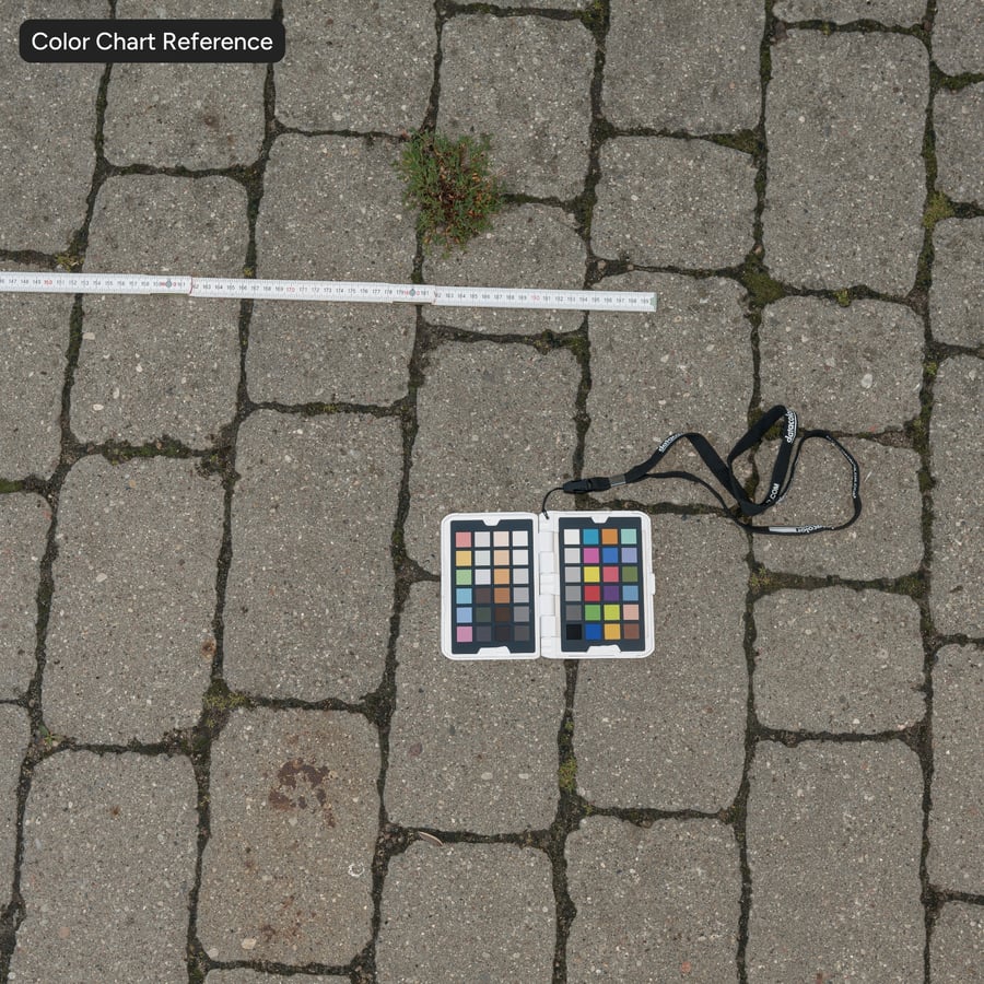 Grasbewachsenes Steinpflaster, grau