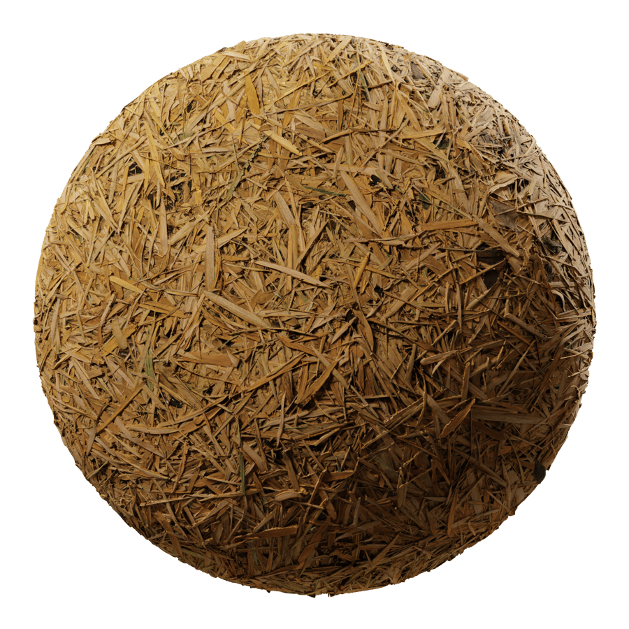 秋天的竹葉地面紋理