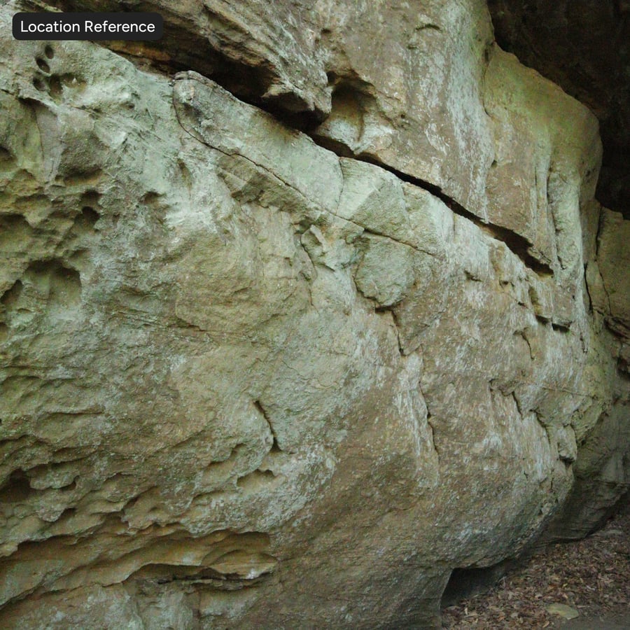 Forest Cliff Rock Texture, Brown