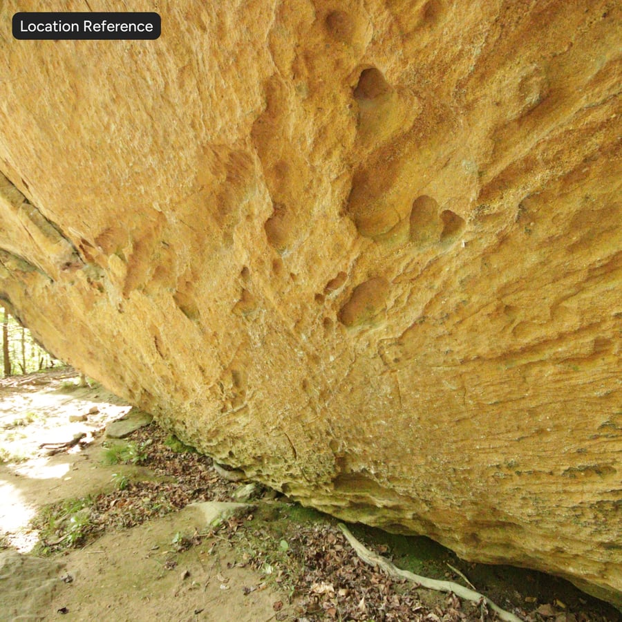 Textura de pared de roca de acantilado de arenisca erosionada