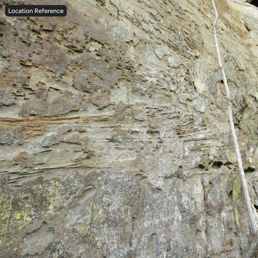 이끼 침식 절벽 바위 텍스처