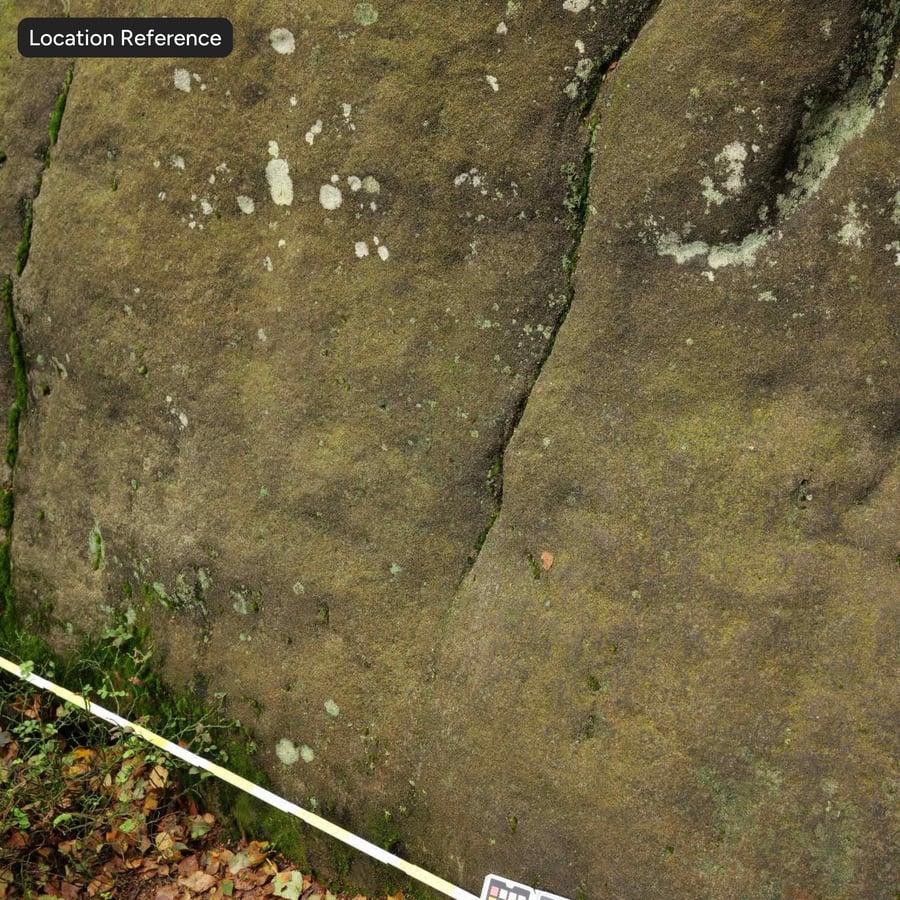 Liquen Moteado Acantilado Piedra Textura