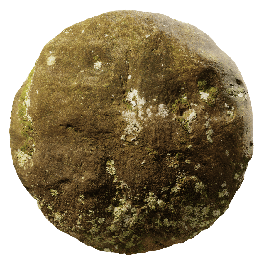 Lichen Moss Cliff Stone Texture