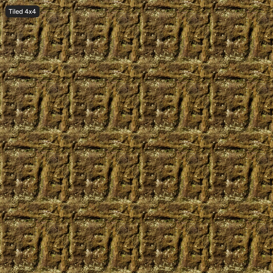 Lichene Muschio Pietra di scogliera Texture