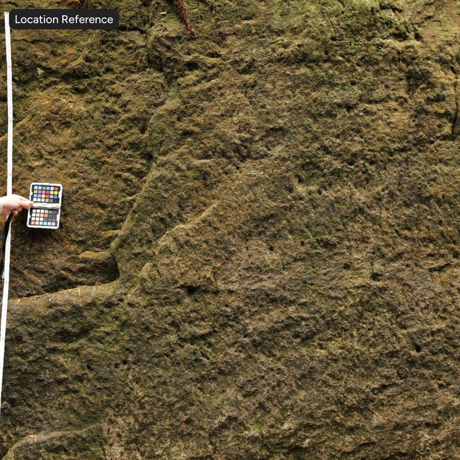 苔むした崖の岩のテクスチャー