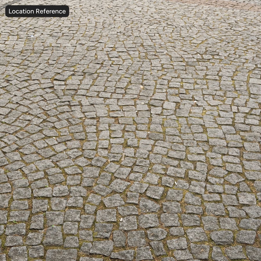 Old Cobblestone with Pine Needles Texture
