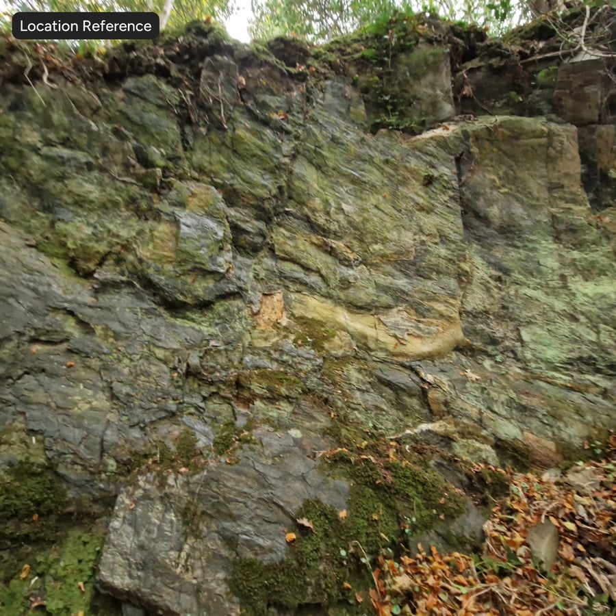 Wald-Felsen-Klippen-Textur
