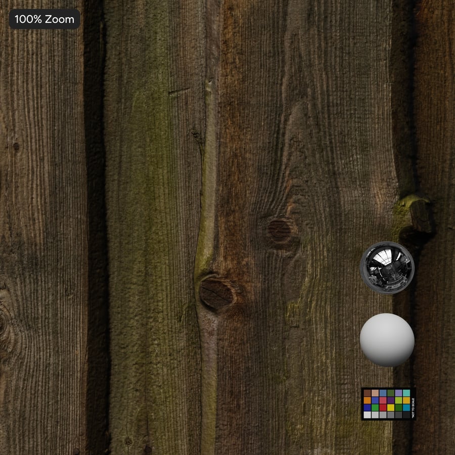 Mossy Live Edge Wood Siding Wall Texture