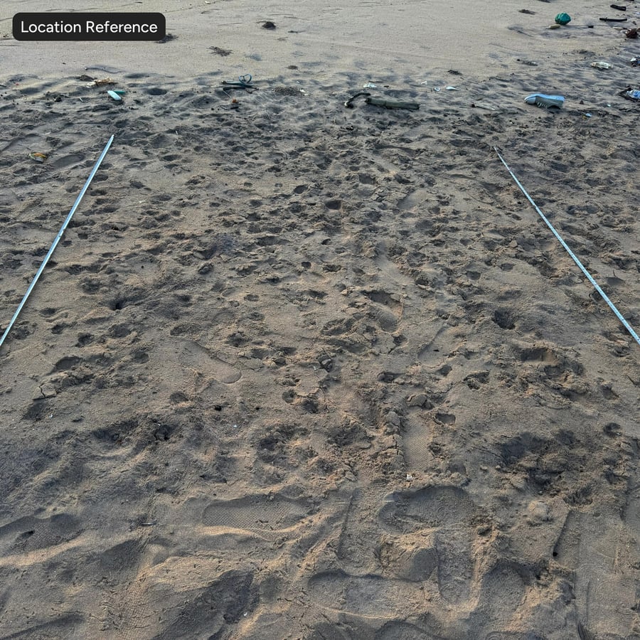Jejak Kaki pada Tekstur Pasir Pantai