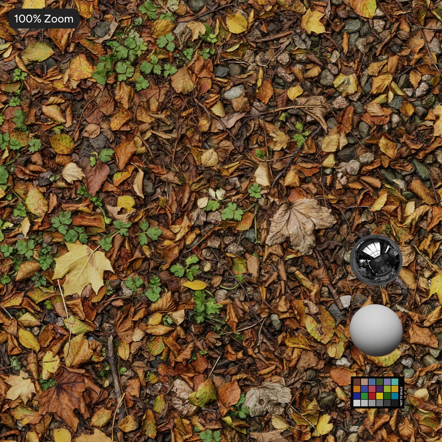 Herbstblätter auf Dreck Textur