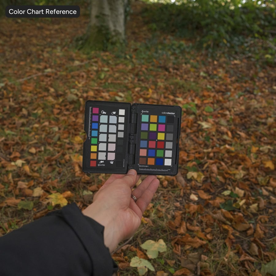 Herfstbladeren op grastextuur