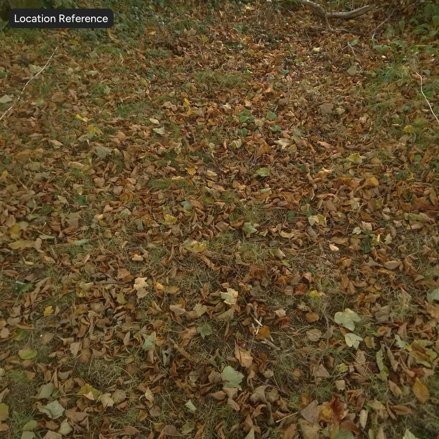 Herfstbladeren op grastextuur