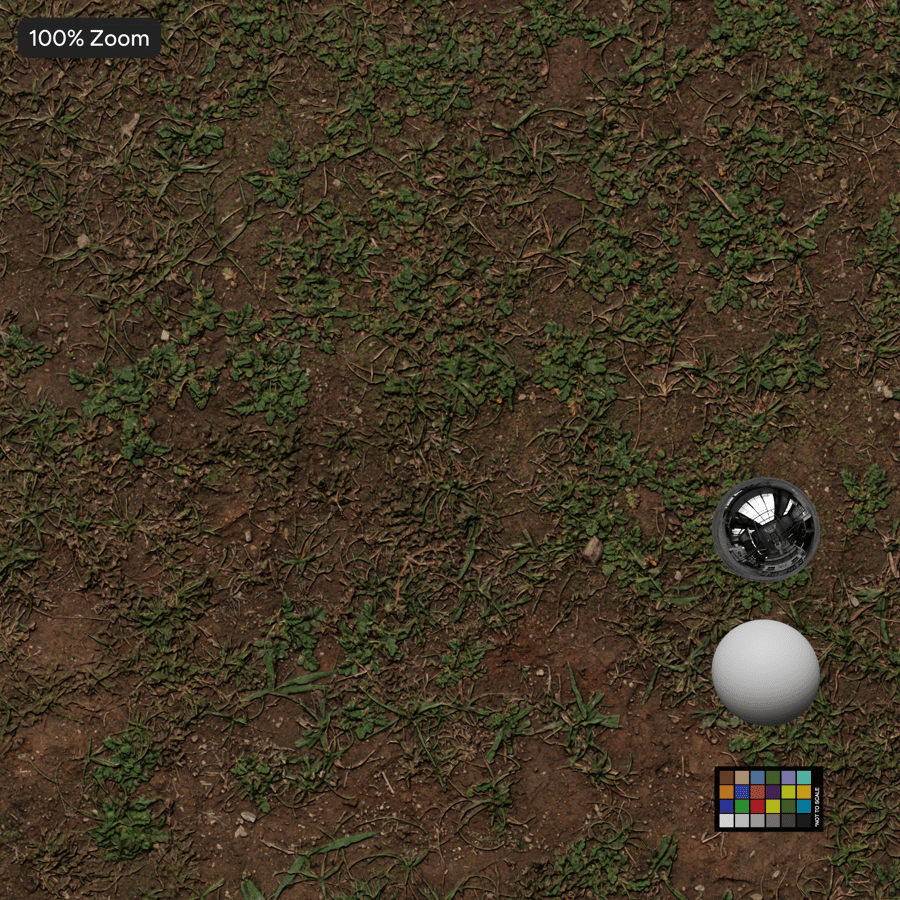 Sparse Grass Texture