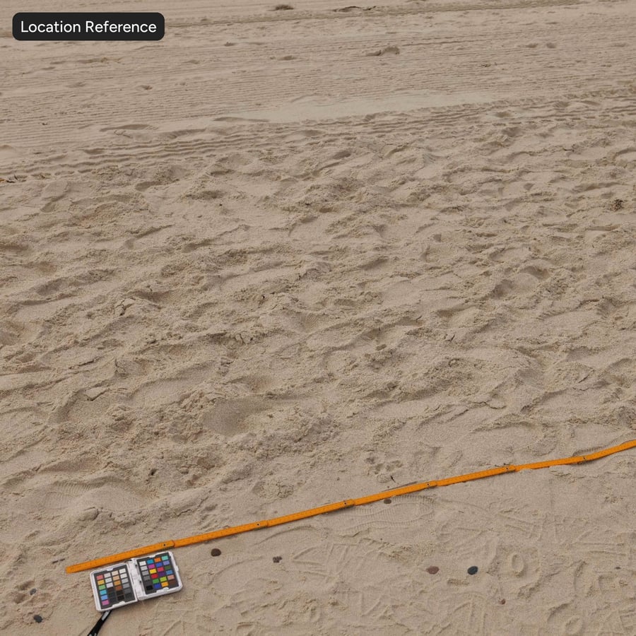 Voetafdrukken op modderig strand zandtextuur