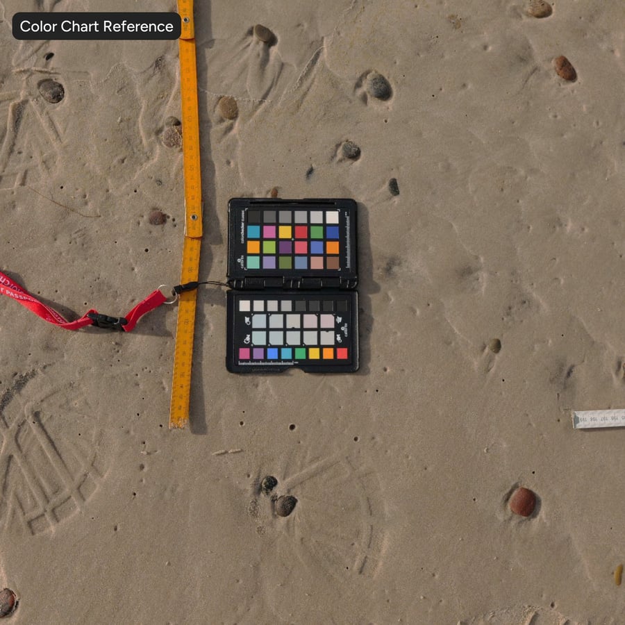 Kiezels op nat zand textuur