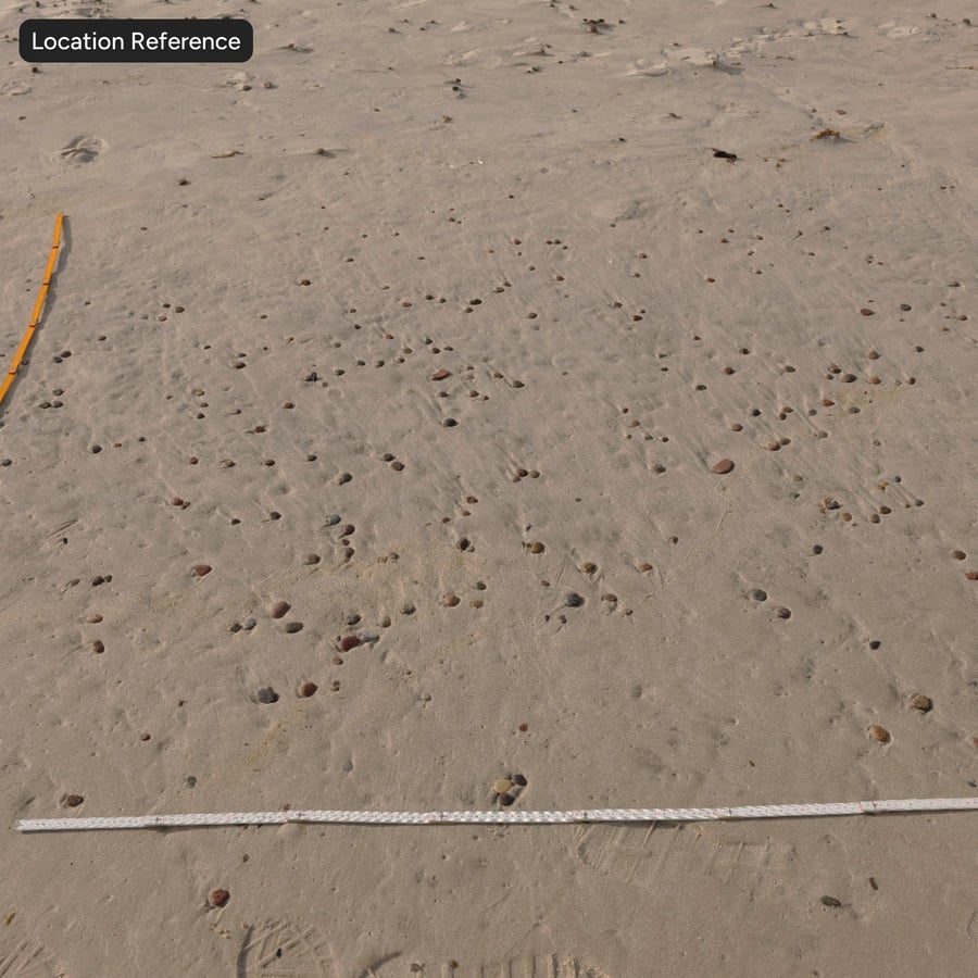 Kiezels op nat zand textuur