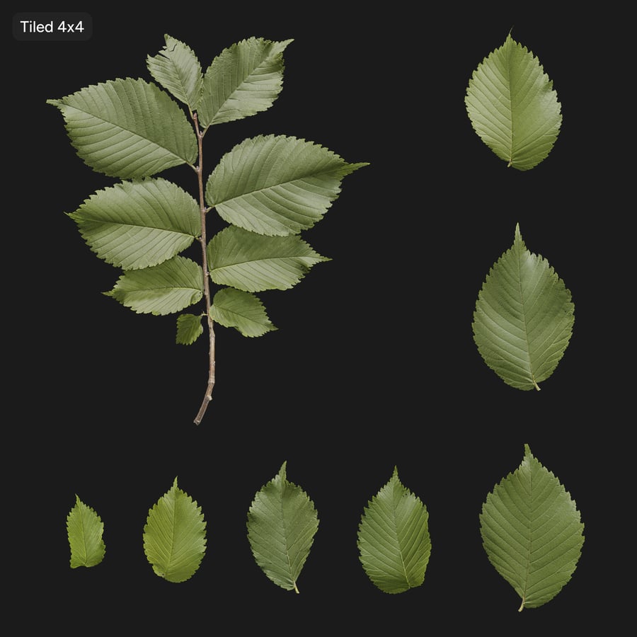 Elm Leaves Texture Atlas