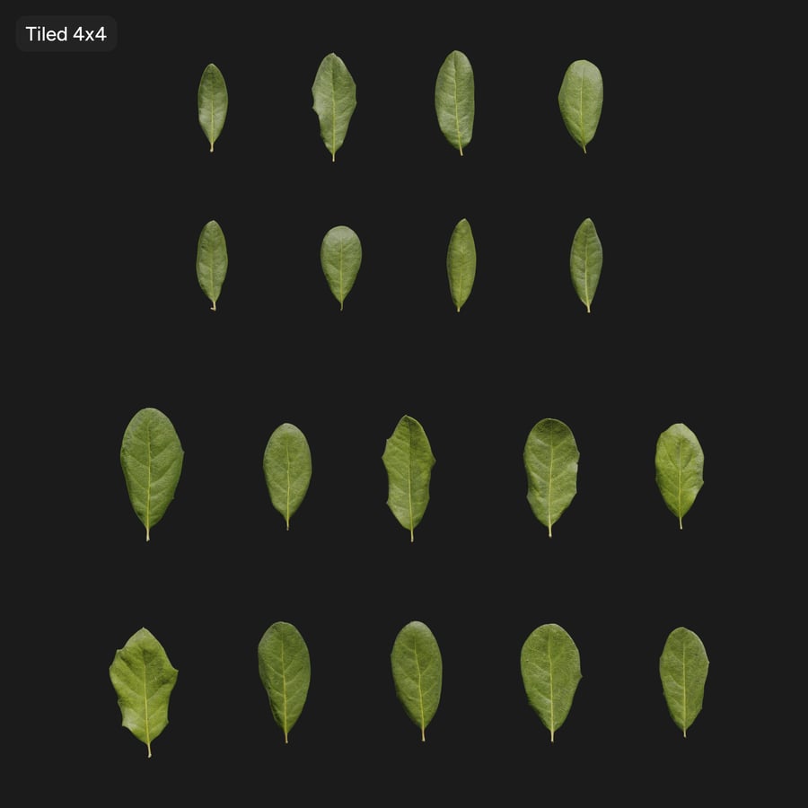 Oak Leaves Texture Atlas