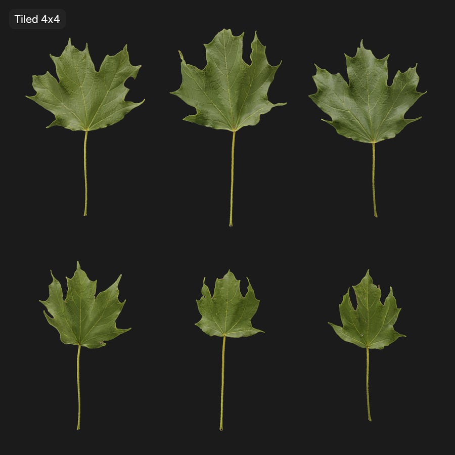 Maple Leaves Texture Atlas