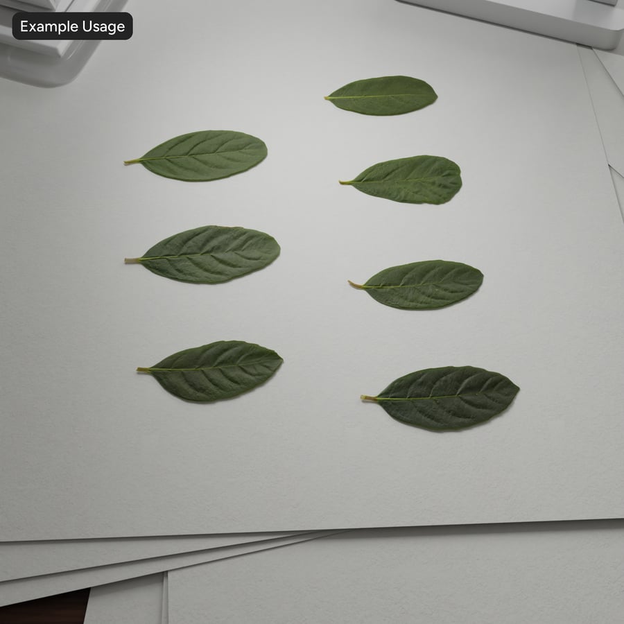 Viburnum Leaves Texture Atlas