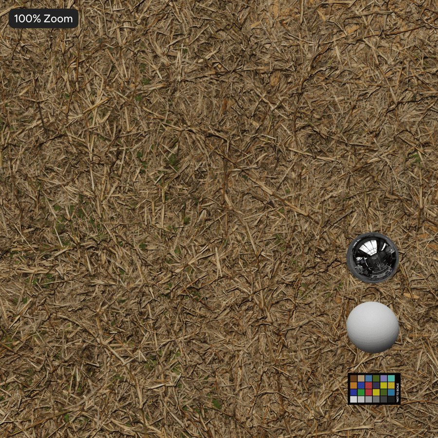 Dry Straw Grass on Ground Texture