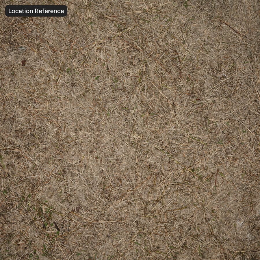 Dry Straw Grass on Ground Texture